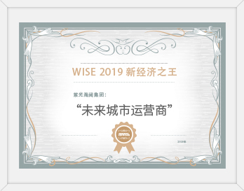 WISE2019新經(jīng)濟(jì)之王<br>未來(lái)城市運(yùn)營(yíng)商